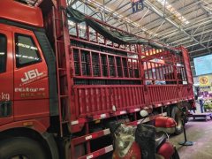 FAW Jiefang J6L 240 hp 4X2 6.75 m - photo 2