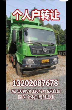 Dongfeng Tianjin VR 320 hp 8X4 6 m - фото 5