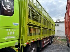Shacman Delong X5000 480 hp 8X4 9.6 m - photo 5