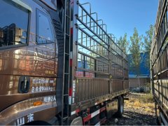 FAW Jiefang J6G 280 hp 4X2 6.75 m - photo 5