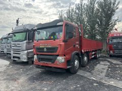 Sinotruk HOWO TS5 310 hp 8X4 9.6 m - ფოტო 1