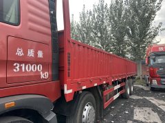 Sinotruk HOWO TS5 310 hp 8X4 9.6 m - ფოტო 7
