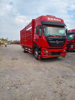 Dongfeng Tianjin KR PLUS 290 hp 4X2 6.8 m - photo 3