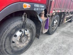 Dongfeng Liuzhou Chenglong H7 460 hp 8X4 9.4 m - фото 3