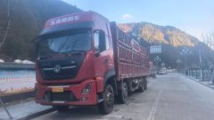 Dongfeng Tianlong KL 465 hp 8X4 9.6 m - фото 1