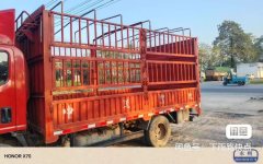 Kama Kaijie M6 129 hp 4X2 4.2 m - photo 3