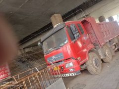Dayun F6 220 hp 6X2 4.8 m - photo 1