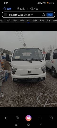 Feidie Ditu GX 108 hp 4X2 2.7 m - photo 3
