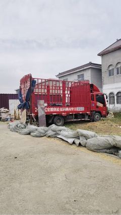 Shacman Delong G1 137 hp 4X2 3.82 m - фото 2