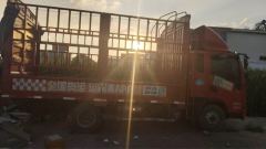 Shacman Delong G1 137 hp 4X2 3.82 m - фото 5