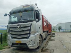 Foton Auman EST-A 560 hp 6X4 - photo 1