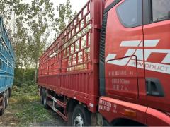 FAW Jiefang JH6 350 hp 8X4 9.5 m - ფოტო 4