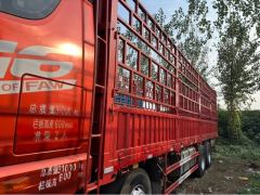 FAW Jiefang JH6 350 hp 8X4 9.5 m - ფოტო 5