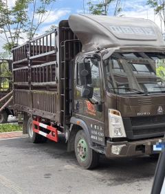 SINOTRUK HOWO Light Duty Truck Royal Faction 160 hp 4X2 4.15 m - ფოტო 3