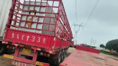 13 m x2.5 m 3 stake body semi-trailer - ფოტო 2