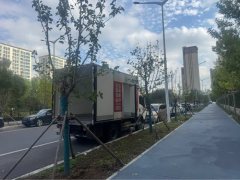 SINOTRUK HOWO Light Duty Truck Commander 160 hp 4X4 6 m - photo 4