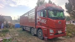 FAW Jiefang JH6 320 hp 6X2 9.5 m - photo 2