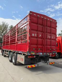 FAW Jiefang JH6 580 hp 8X4 9.5 m - photo 3