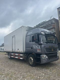 Sinotruk HOWO TX7 290 hp - фото 3