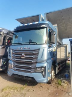Sinotruk HOWO TS7 290 hp 4X2 9.6 m - photo 1