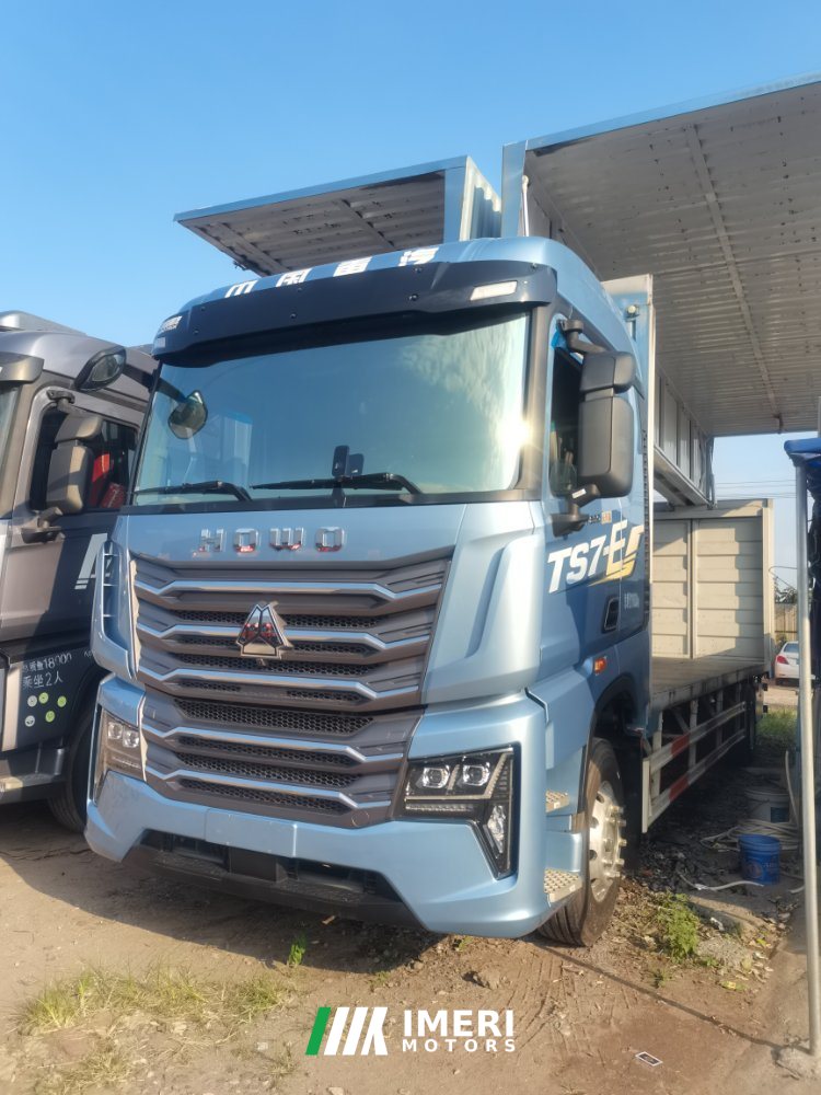 2025 Sinotruk HOWO TS7 290 hp 4X2 9.6 m