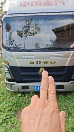 SINOTRUK HOWO Light Duty Truck M 155 hp 4X2 3.3 m - ფოტო 1