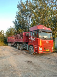 FAW Jiefang JH6 460 hp 6X4 - ფოტო 3