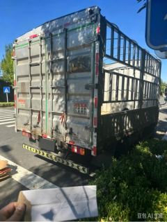 SINOTRUK HOWO Light Duty Truck Dream Chaser 160 hp 4X2 4.15 m - photo 3