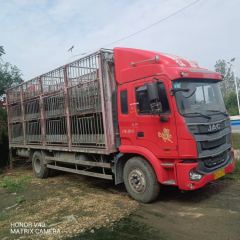 JAC Gallop Gelfa A5 220 hp 4X2 6.8 m - photo 2