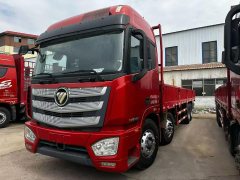Foton Auman EST 460 hp 8X4 9.45 m - ფოტო 1