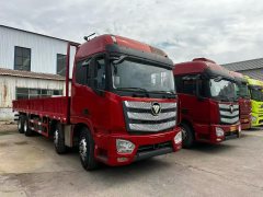 Foton Auman EST 460 hp 8X4 9.45 m - ფოტო 2