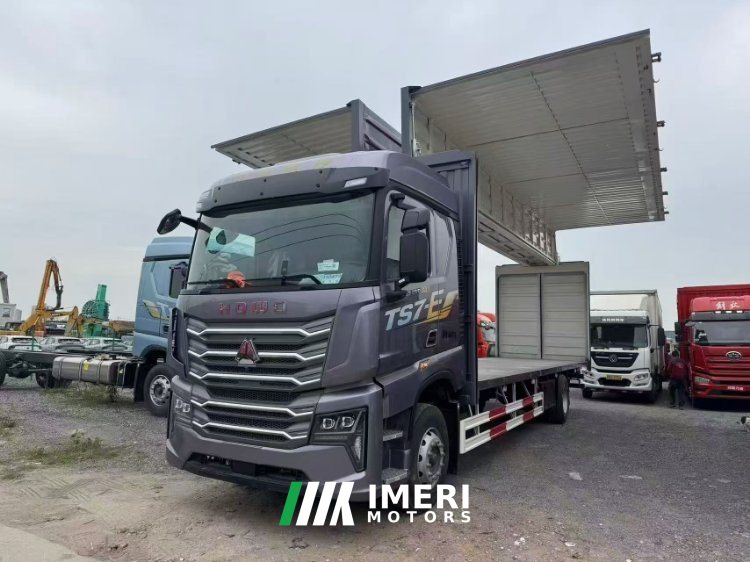 Sinotruk HOWO TS7 290 hp 4X2 9.6 m - грузовик из Китая