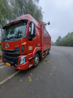 Dongfeng Liuzhou Chenglong H5 260 hp 4X2 6.8 m - ფოტო 1