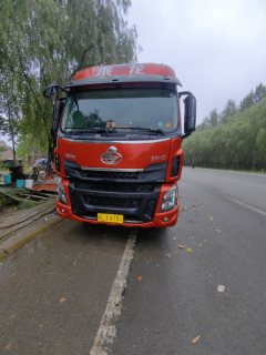 Dongfeng Liuzhou Chenglong H5 260 hp 4X2 6.8 m - ფოტო 7