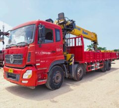 Dongfeng Tianlong 350 hp 8X4 8.5 m - ფოტო 4