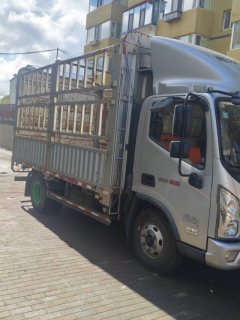 Foton Ollin New Express 156 hp 4X2 4.18 m - ფოტო 3