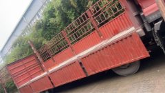 Dongfeng Tianlong VL 292 hp 6X2 9.6 m - ფოტო 3