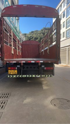 Dongfeng Tianlong VL 292 hp 6X2 9.6 m - ფოტო 4