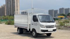 Changan Kuayue D3 122 hp 4X2 3.3 m - ფოტო 3
