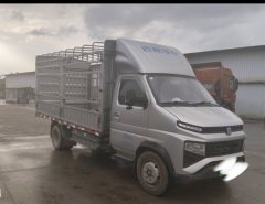 Changan Kuayue X3EV 3.8 m - фото 4