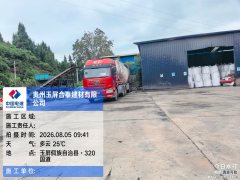 FAW Jiefang J6P 460 hp 6X4 - ფოტო 6
