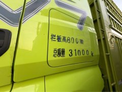 FAW Jiefang J7 460 hp 8X4 9.4 m - ფოტო 6