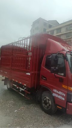 JAC Junling Shunling V6 162 hp 4X2 4.22 m - ფოტო 2