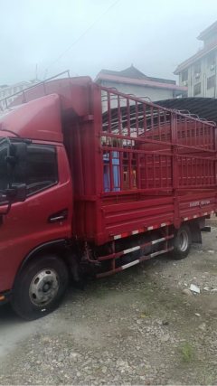 JAC Junling Shunling V6 162 hp 4X2 4.22 m - ფოტო 5