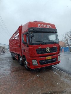 Shacman Delong X3000 375 hp 8X4 9.55 m - ფოტო 1