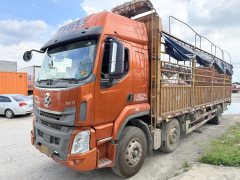 Dongfeng Liuzhou Chenglong H5 220 hp 6X2 9.6 m - ფოტო 2