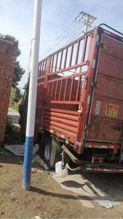 SINOTRUK HOWO Light Duty Truck Royal Faction 160 hp 4X2 4.15 m - ფოტო 3