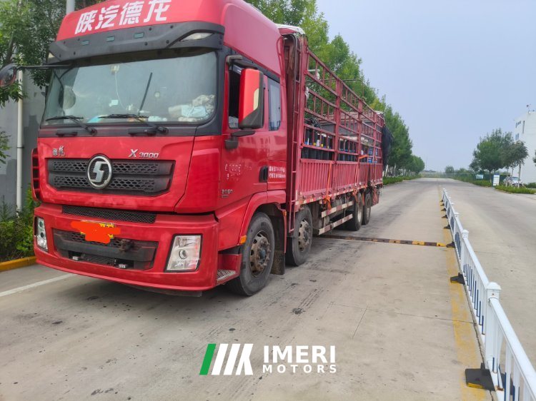Shacman Delong X3000 430 hp 8X2 9.5 m - სატვირთო ჩინეთიდან