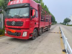 Shacman Delong X3000 430 hp 8X2 9.5 m - ფოტო 1