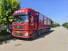 Shacman Delong X3000 430 hp 8X2 9.5 m - ფოტო 3